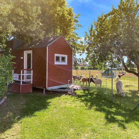 Tiny House Auf Der Alpaka Farm Villa Rubkow Dış mekan fotoğraf