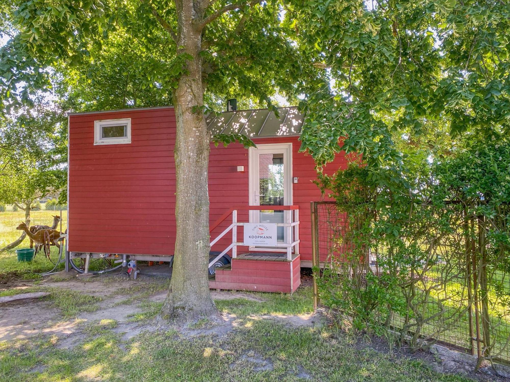 Tiny House Auf Der Alpaka Farm Villa Rubkow Dış mekan fotoğraf