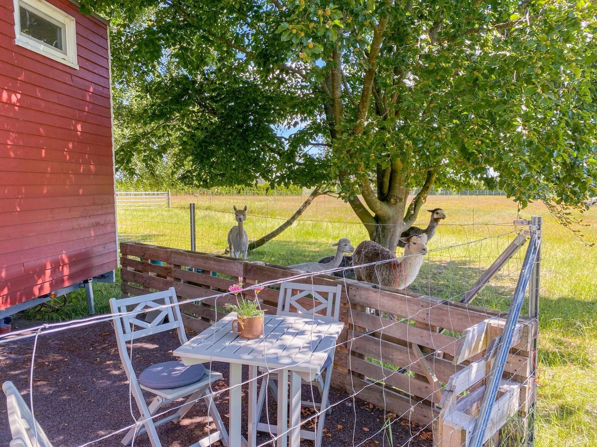 Tiny House Auf Der Alpaka Farm Villa Rubkow Dış mekan fotoğraf